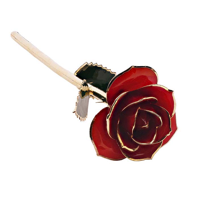 24K Yellow Gold-Trimmed "Ravishing Red" Long-Stemmed Rose