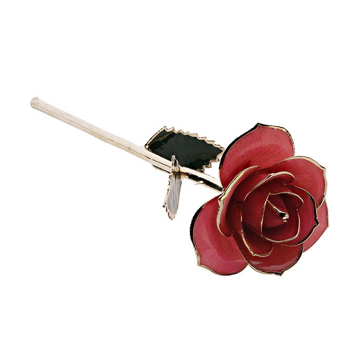 24K Yellow Gold-Trimmed "Pretty in Pink" Long-Stemmed Rose