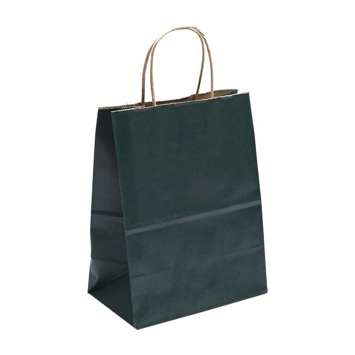 Green Solid-Color Paper 8"W x 4-3/4"D x 10-1/4"H Shopping Tote