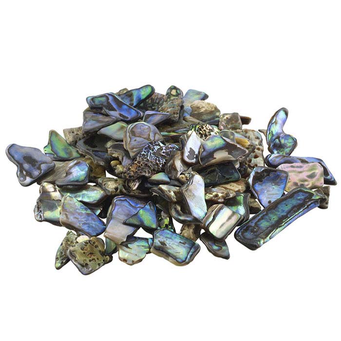 Paua Shell Extra-Small Pieces