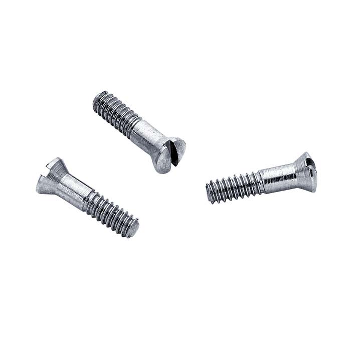 Stainless Steel Replacement Screw for Half-Dollar & Smaller Coin Mountings