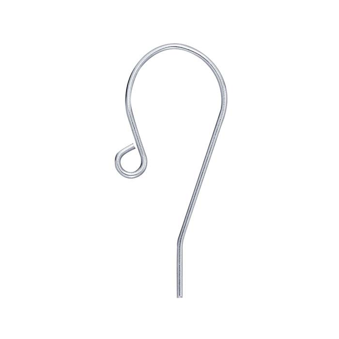 Stainless Steel Ear Wire Pair with Outside Loop